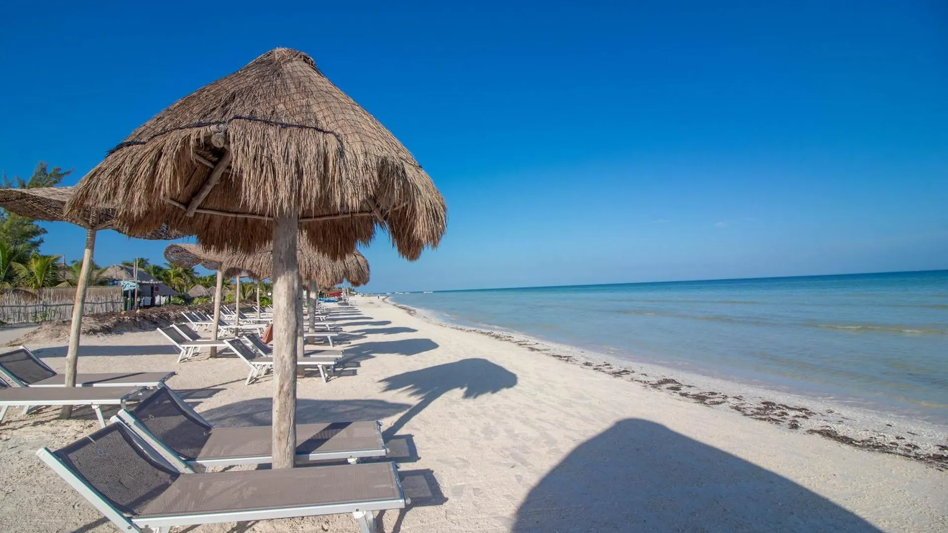 My Blue Hotel Holbox
