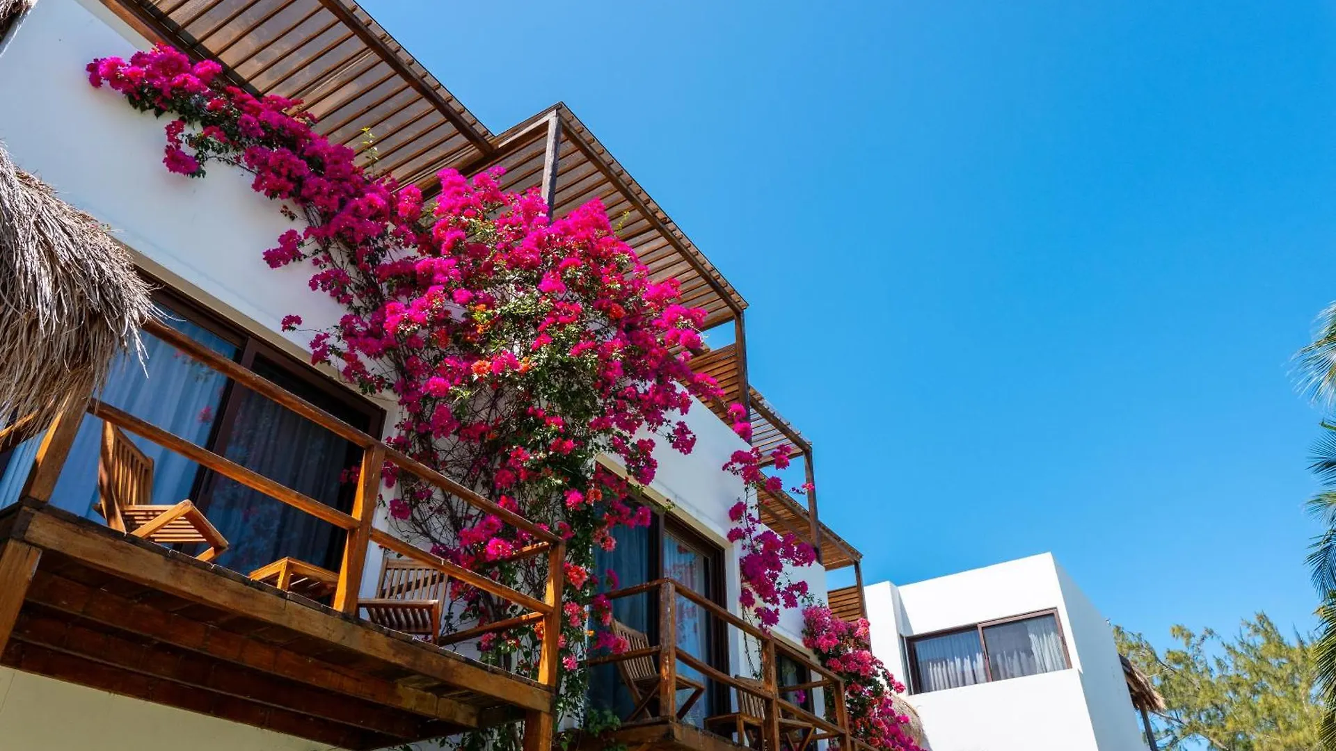 *****  My Blue Hotel Holbox Mexico
