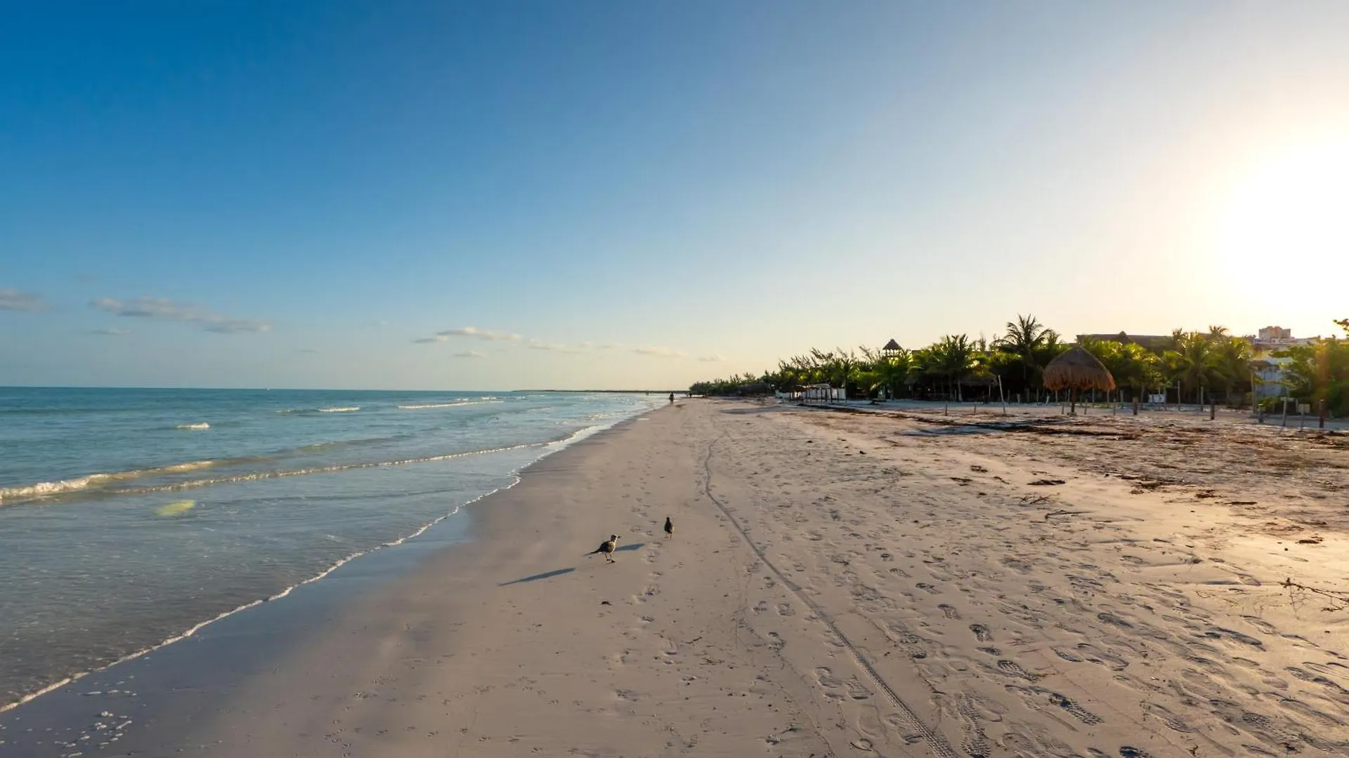 My Blue Hotel Holbox 5*, Isla Holbox